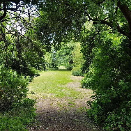 Naturskolen